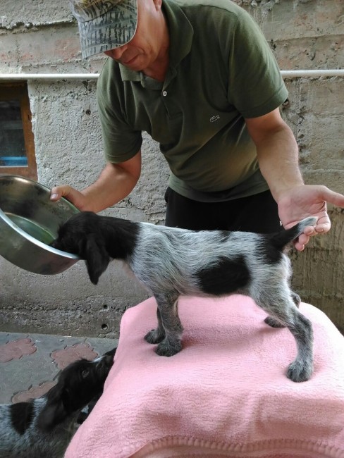 image-0-02-01-68cf2073b096017321d2b8bd8569341141c5feea476995f6d9796f665151500f-V.jpg (246.33 КБ) 6350 просмотров Сучка Гайда