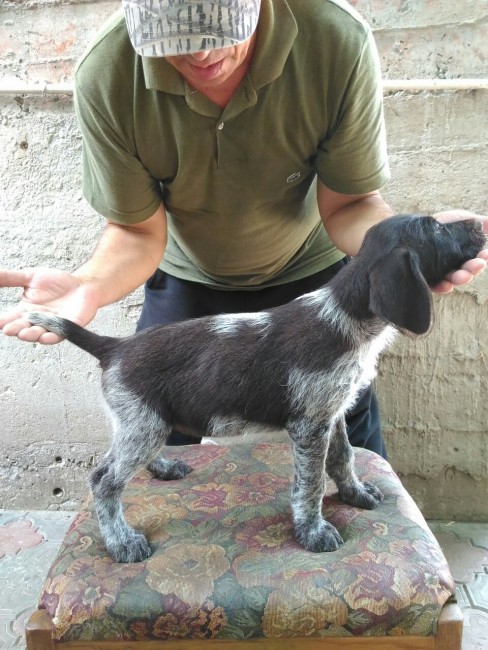 image-0-02-01-d1638c79b2f1929786cd477234f31132515189bb127f6958c699f953643e1d29-V.jpg (247.52 КБ) 6349 просмотров Сучка Глория