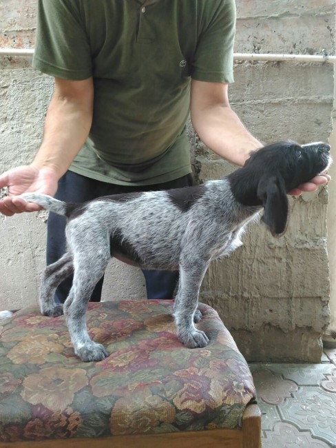 image-0-02-01-66f50f291ca95e328bf149f2a3b616903488862b4bc1c0d4c4bc034a54104499-V.jpg (248.1 КБ) 6348 просмотров Сучка Герта