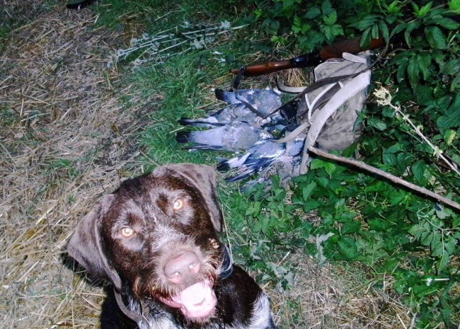 Garry Galler after hunting Вечерняя полу=нома.jpg