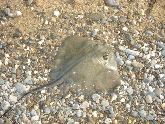 DSC03392.JPG