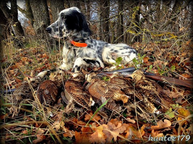 26b3a23aa802c6ecbe8d70dae872ea6d.jpg (193.47 КБ) 24604 просмотра Фото Е.Шевченко