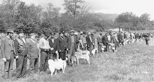 май 1974г. Кировское-Старый Крым выводка охот собак. Стоячко А.В..JPG (283.81 КБ) 27292 просмотра май 1974г. Кировское-Старый Крым выводка охот собак. Стоячко А.В..JPG