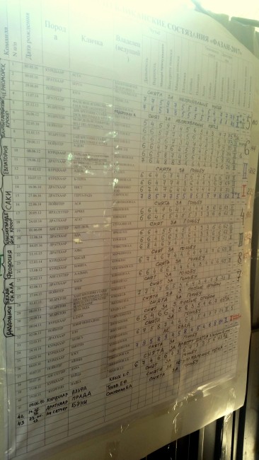 20170930_105748 - копия.jpg (2.9 МБ) 26582 просмотра Фото - Андрея Устинова.