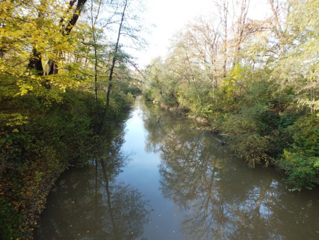 DSCF9707.JPG