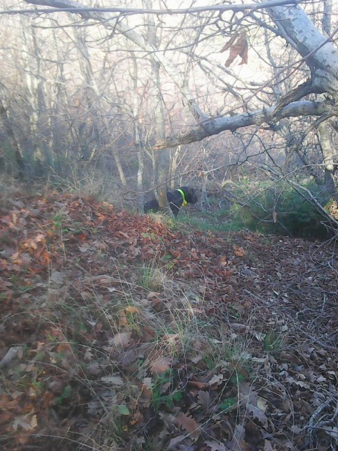 Photo1014.jpg