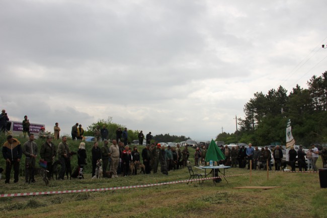 IMG_2077-min.JPG