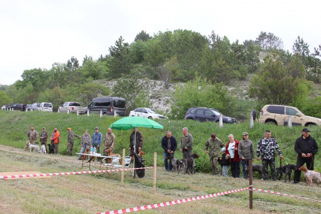 IMG_2079-min.JPG