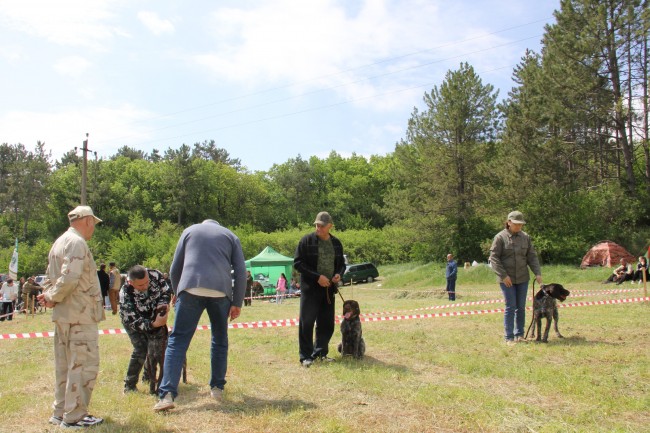 IMG_2131-min.JPG