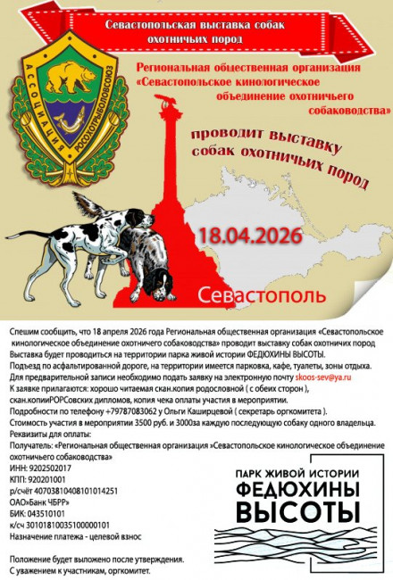 Для сайтов.jpg