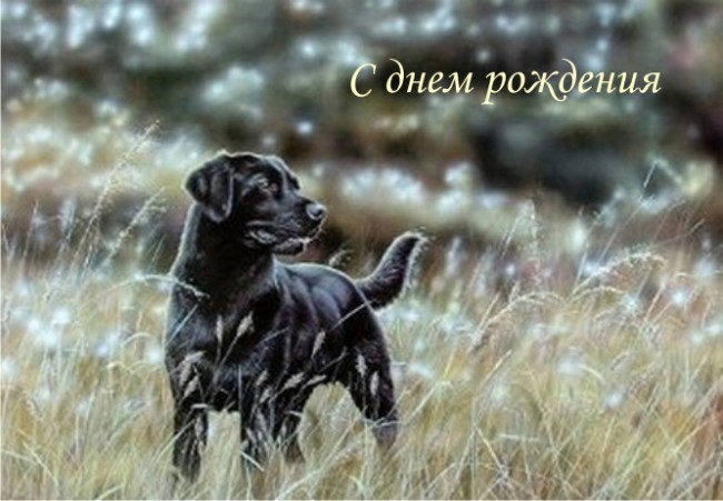 дима ДР.jpg
