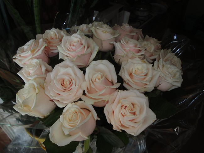 DSC05343.JPG