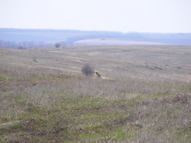 DSCF2136.JPG