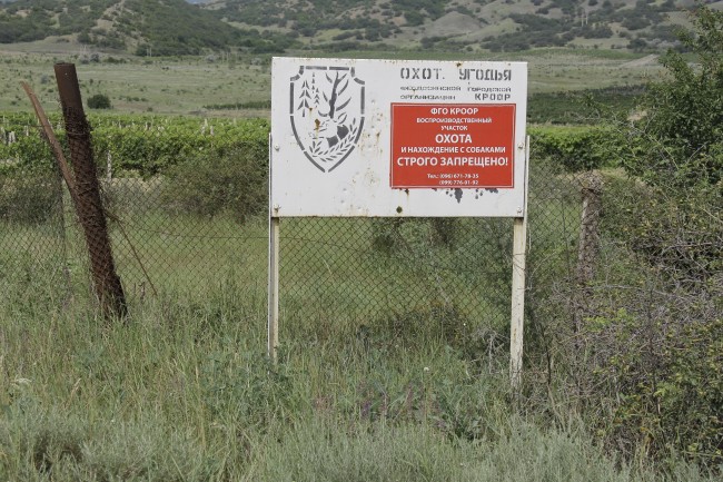 _MG_5560.JPG