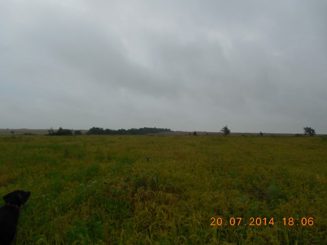 DSCN1458.jpg