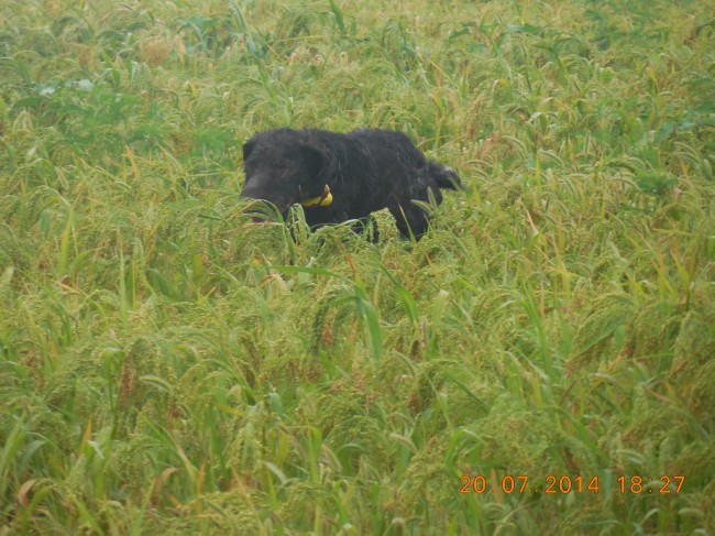 DSCN1473.jpg
