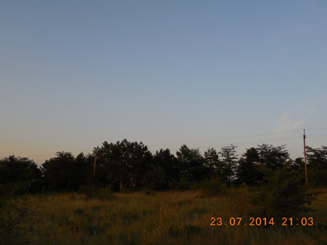DSCN1549.jpg