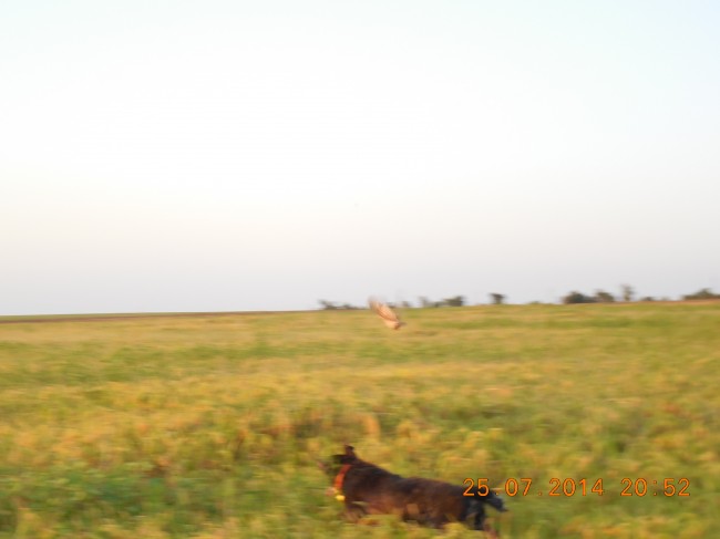 DSCN1628.jpg