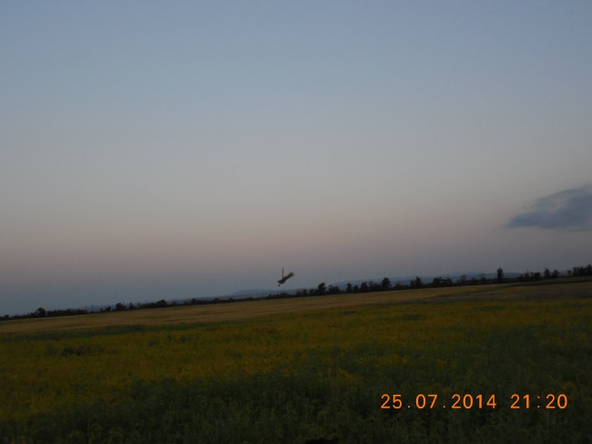 DSCN1703.jpg