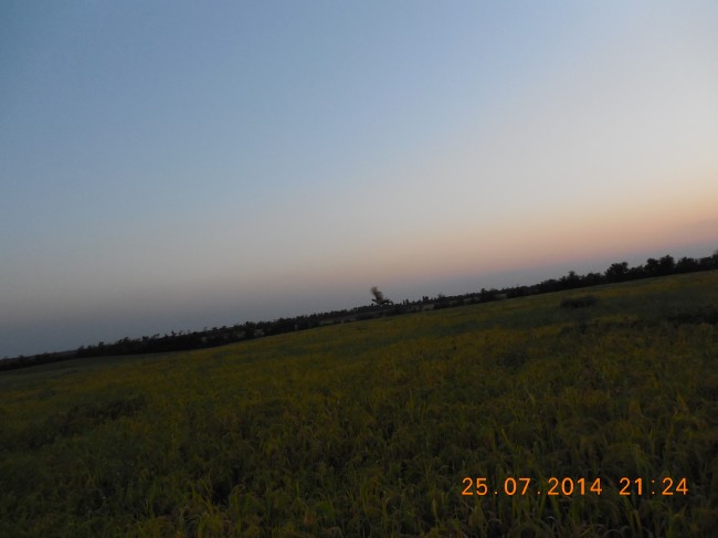 DSCN1722.jpg