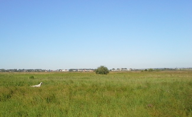 20140727_075301.jpg