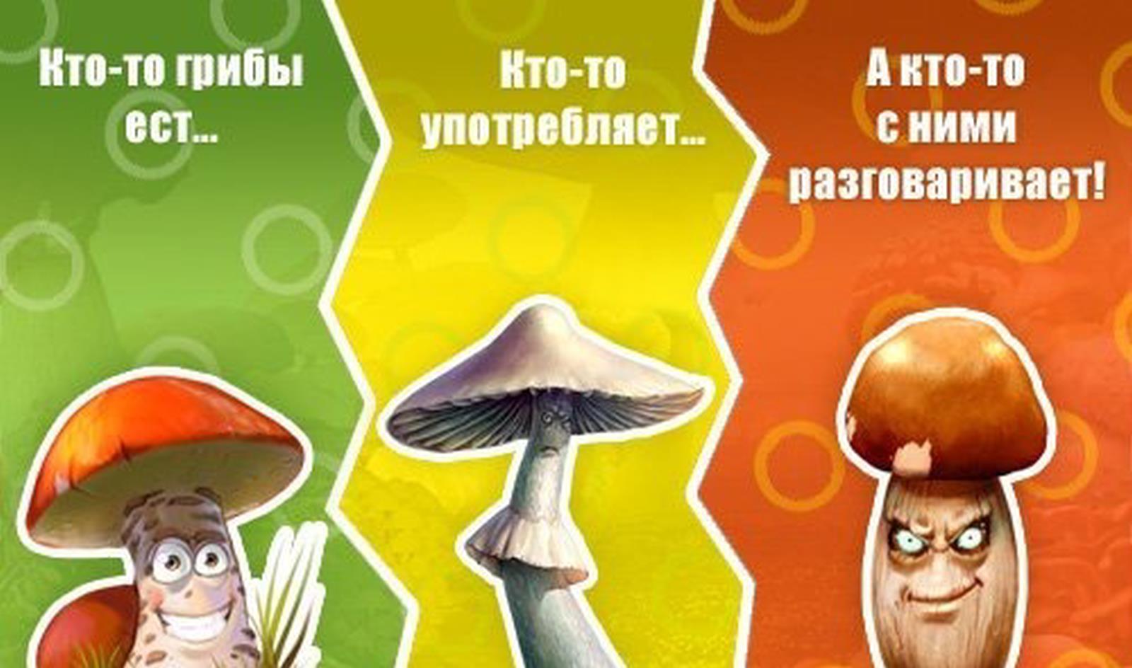Грибы прикол