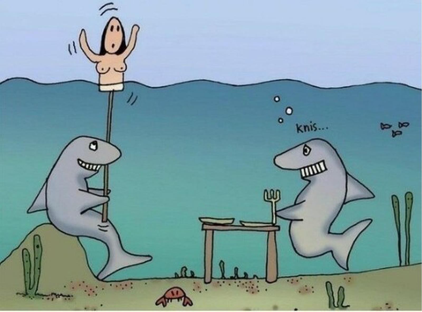 акулы.jpg