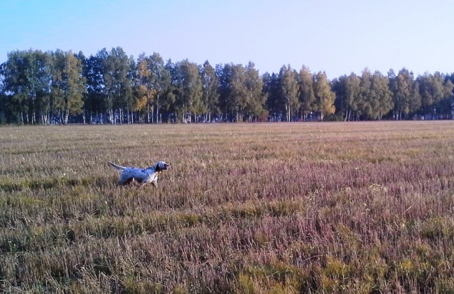 20140923_080725.jpg