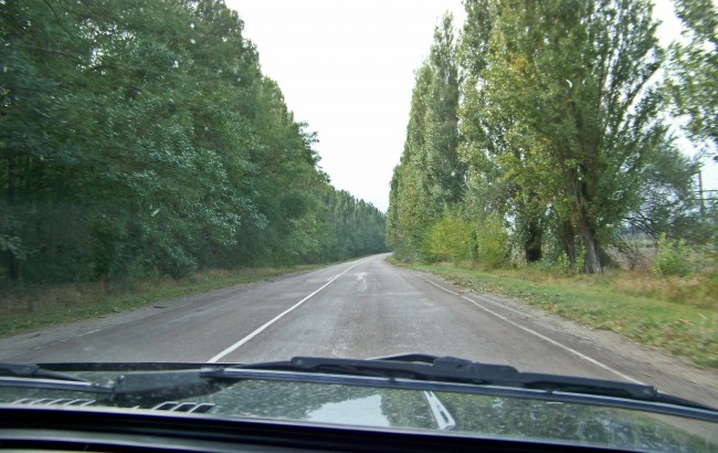 6.jpg (267.19 КБ) 13983 просмотра тополиная аллея