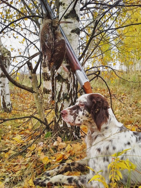 20141004_114246.jpg