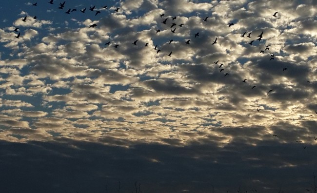 20141107_080738-2.jpg