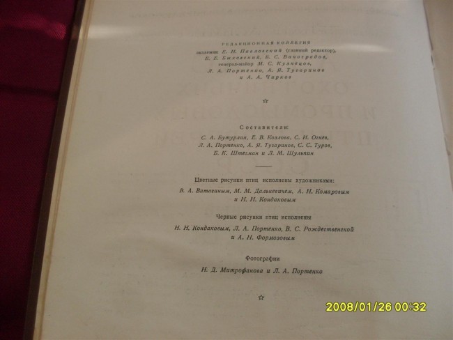 SDC19832 (Large).JPG