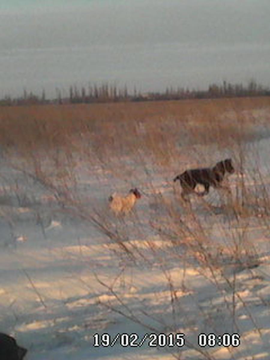DSC_0000341.jpg