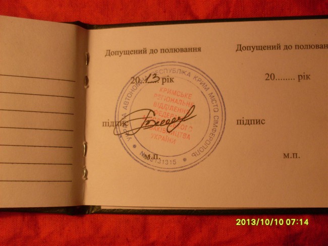SDC19803 (Large) (3).JPG