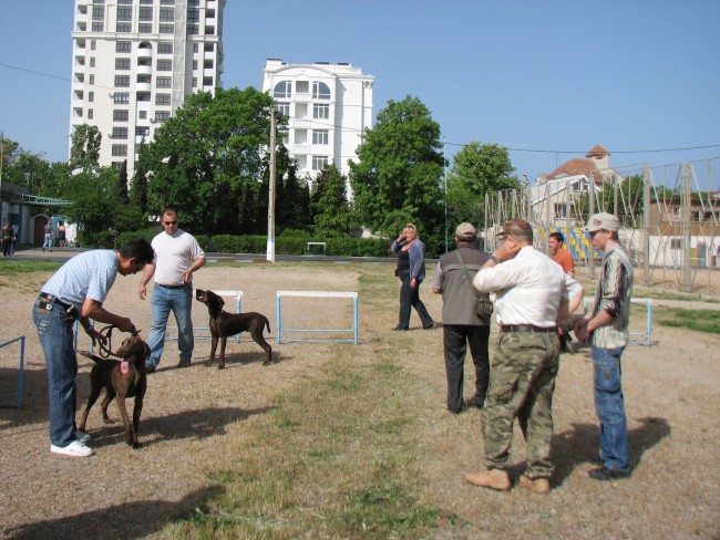 Выставка в Севастополе май 2010 г 007.jpg
