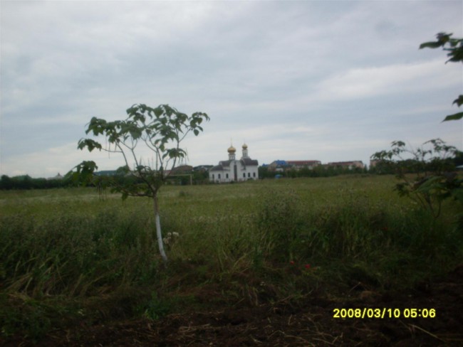 SDC19889 (Large).JPG
