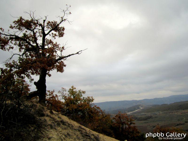 IMG 0578