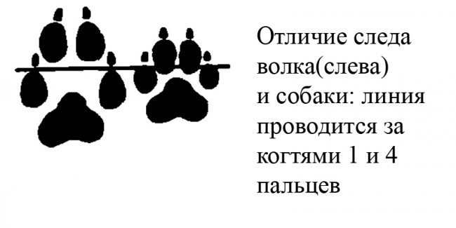 отл.jpg