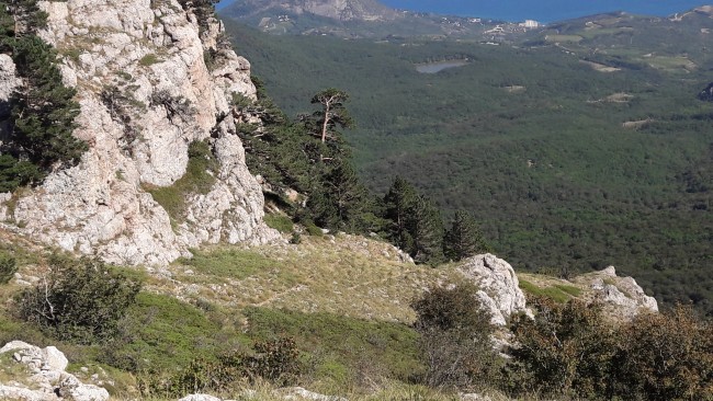 20160911_135149[1].jpg