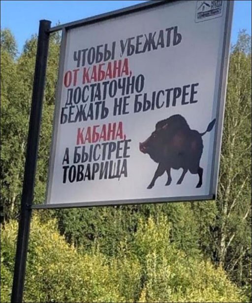 объявление-5503526.jpeg