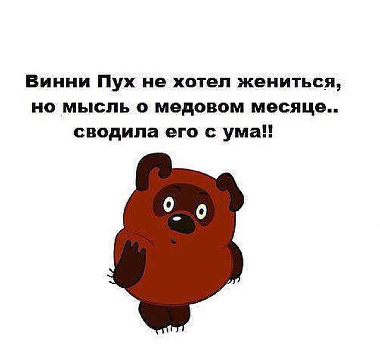 винни.jpg